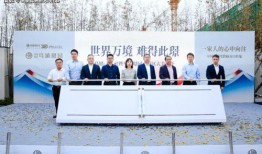 中转盘最新爆料实战效果,创新技术助力物流效率新飞跃